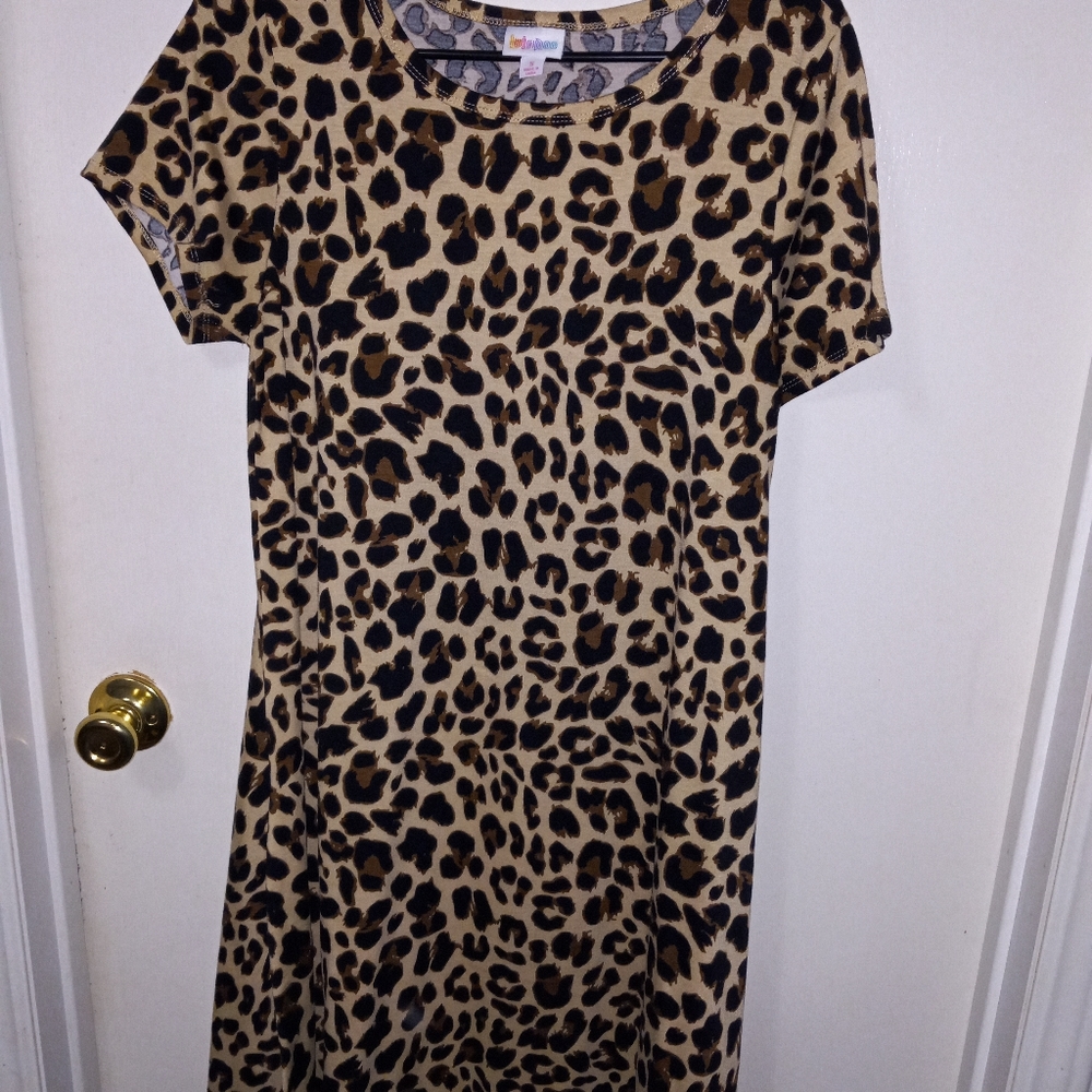LLR Carlys - Picture 3 of 6